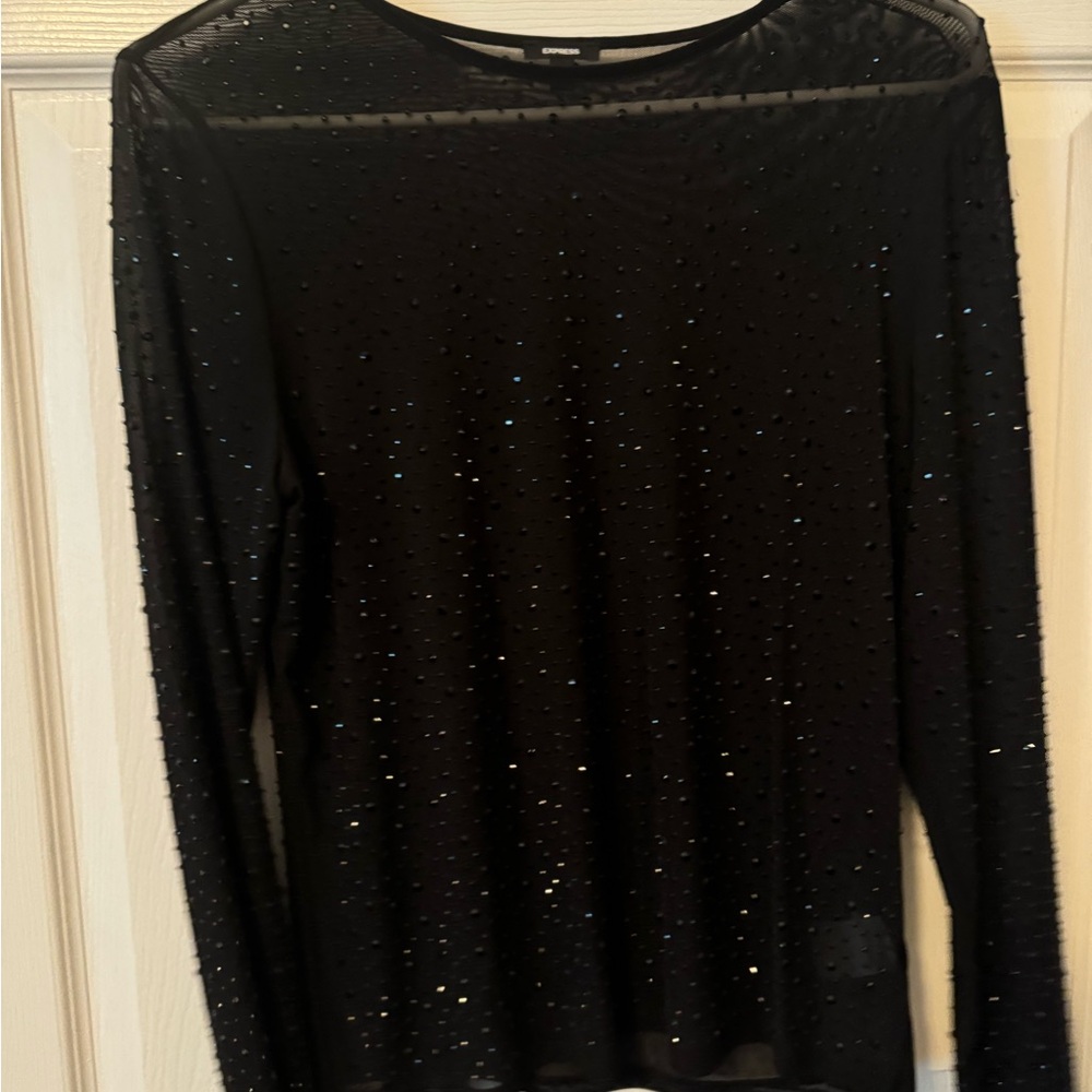 Express Black Sheer Long Sleeve Top